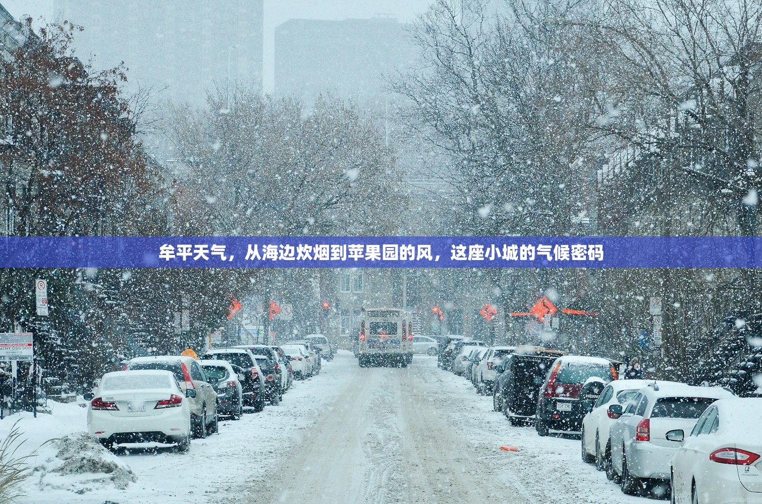 牟平天气，从海边炊烟到苹果园的风，这座小城的气候密码