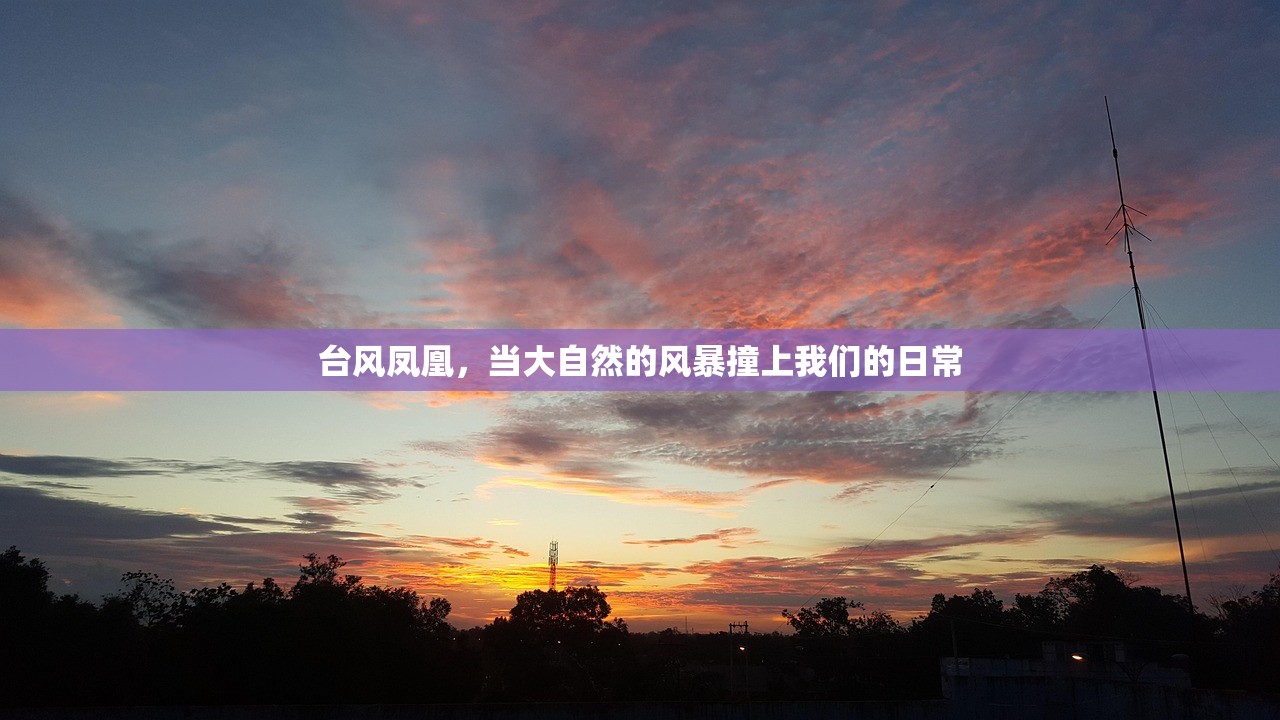 台风凤凰,当大自然的风暴撞上我们的日常 台风凤凰,当大自然的风暴撞上我们的日常