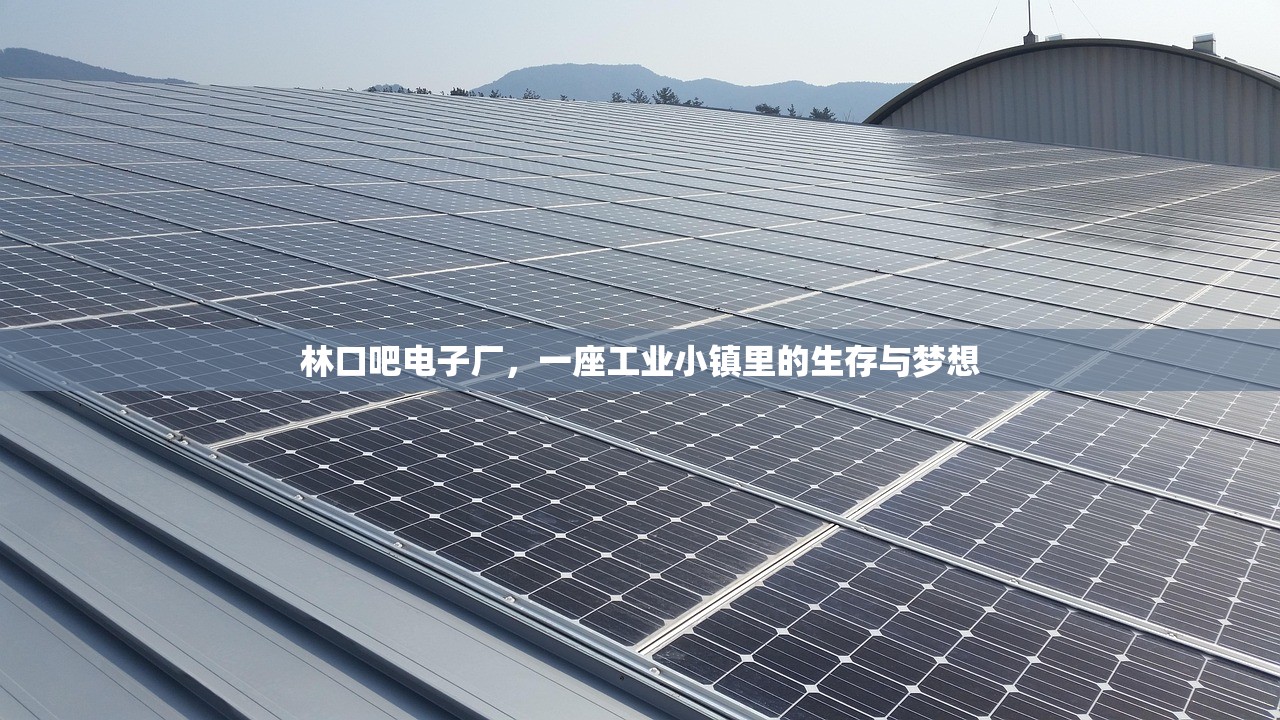 林口吧电子厂,一座工业小镇里的生存与梦想 林口吧电子厂,一座工业小镇里的生存与梦想