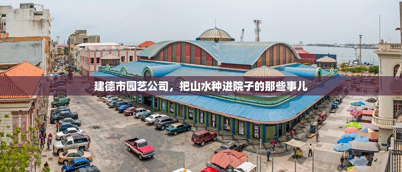建德市园艺公司,把山水种进院子的那些事儿 建德市园艺公司,把山水种进院子的那些事儿